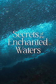 Inside the Enchanted Waterways
