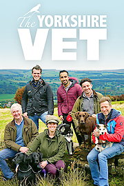 Yorkshire Vet poster