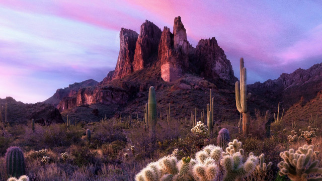 Watch Nevada Wild Online