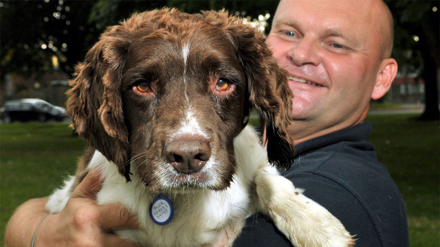 Watch Danger Dogs Online