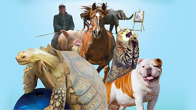 Watch Animals Unleashed Online