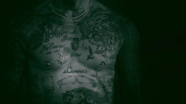 Watch Paparazzi King Online