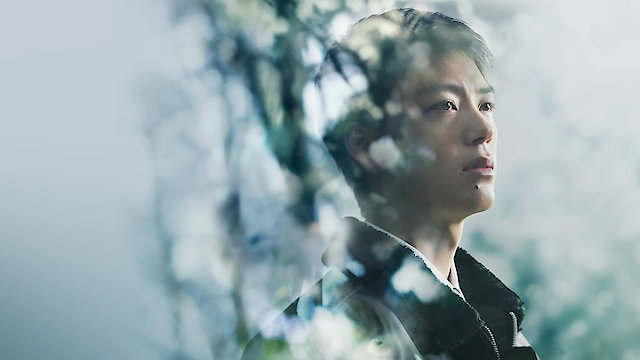 Watch Silent Truth Online