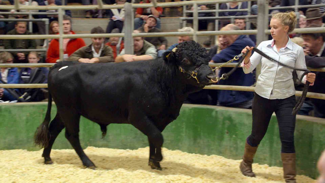 Watch Farmer's Country Showdown Online