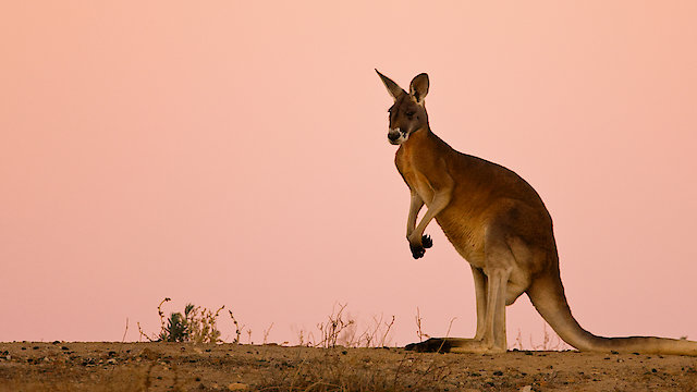 Watch Nature's Great Divide Online