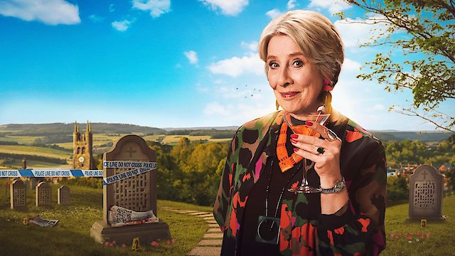 Watch The Puzzle Lady Online