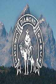 Diamond Cross Ranch poster