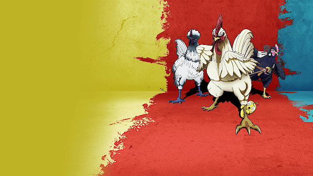 Watch Rooster Fighter Online