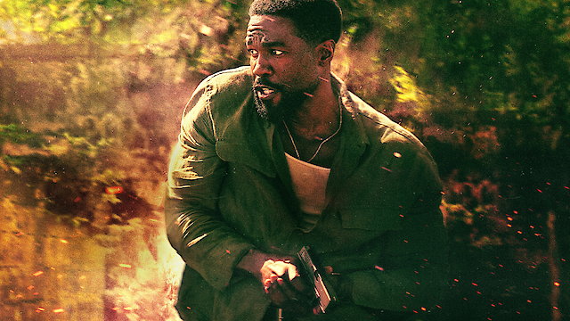 Watch Man on Fire Online