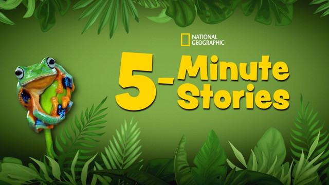 Watch 5-Minute Stories Online
