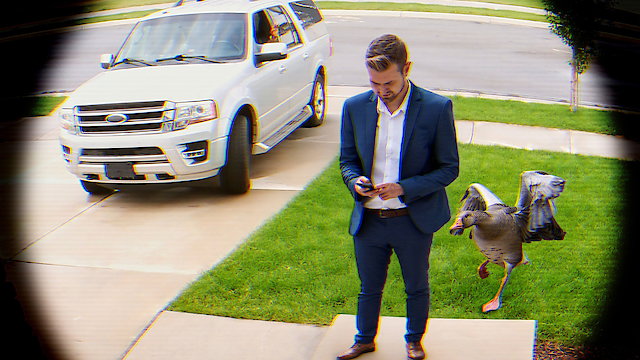 Watch Neighborhood Watch Online