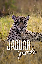 Jaguar Journals