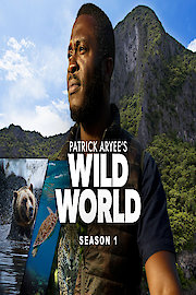 Patrick Aryee's Wild World poster