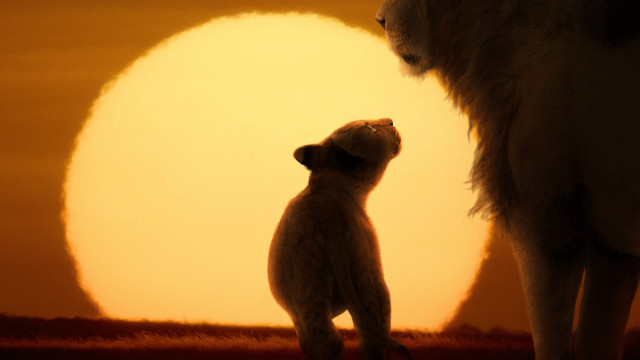 Watch LION Online