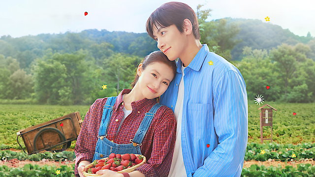 Watch Merry Berry Love Online