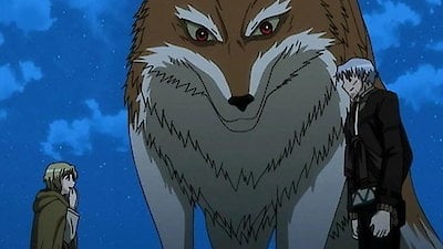 Wolf and a New Beginning