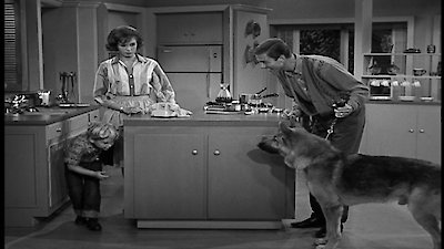 The Unwelcome Houseguest