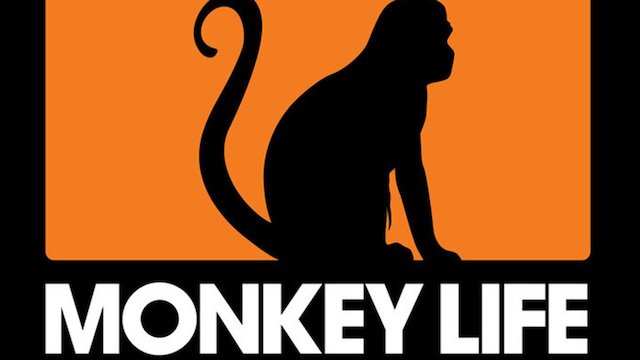 Watch Monkey Life Online