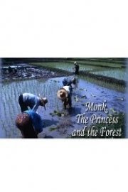 The Monk, The Princess And The Forest poster