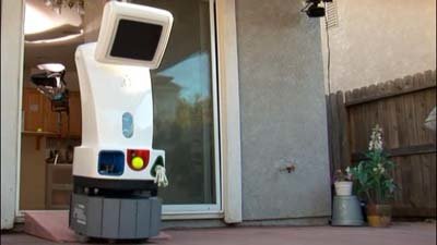 Robo Dog Sitter