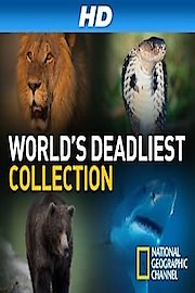 World's Deadliest Collection poster