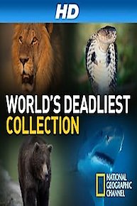 World's Deadliest Collection