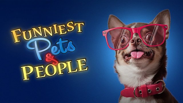 Watch Funniest Pets & People Online