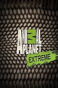 Animal Planet Extreme