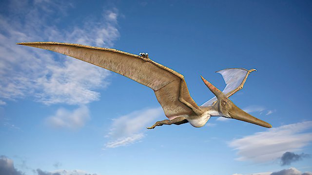 Watch Sky Monsters Online