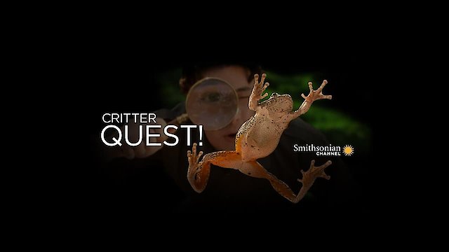 Watch Critter Quest! Online