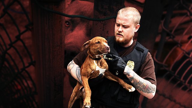 Watch Philly Undercover Online