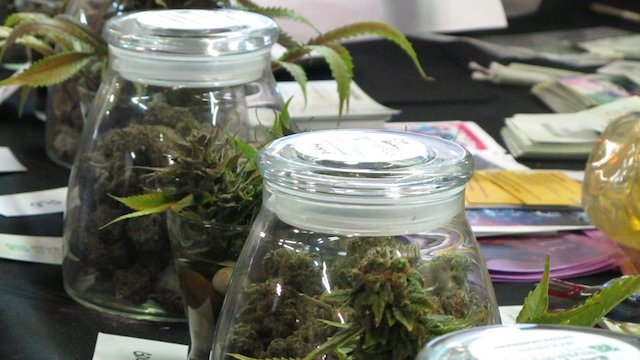 Watch American Weed Online