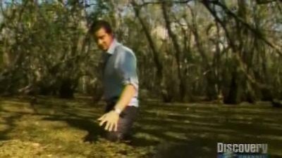 Everglades