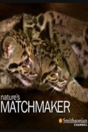 Nature's Matchmaker poster