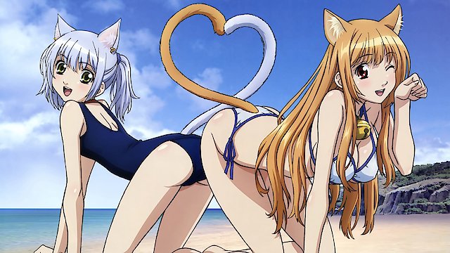 Watch Cat Planet Cuties Online