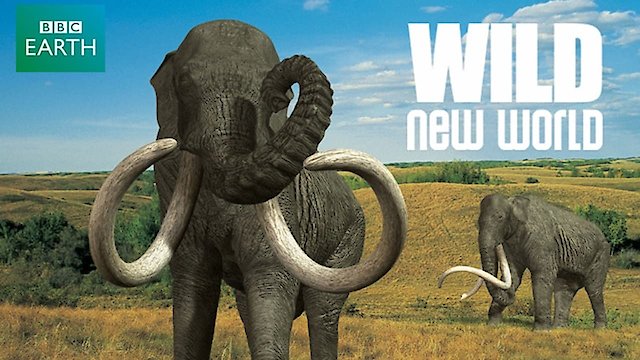 Watch Wild New World Online