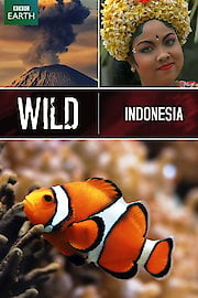 Wild Indonesia (BBC Earth) poster