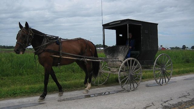 Watch Amish: Out of Order Online