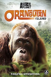 Orangutan Island poster