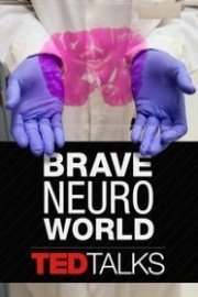 TEDTalks: Brave Neuro World poster
