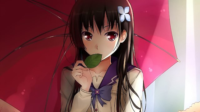 Watch Sankarea Online