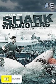 Shark Wranglers poster