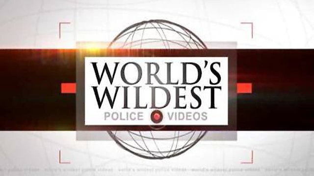 Watch World's Wildest Police Videos Online