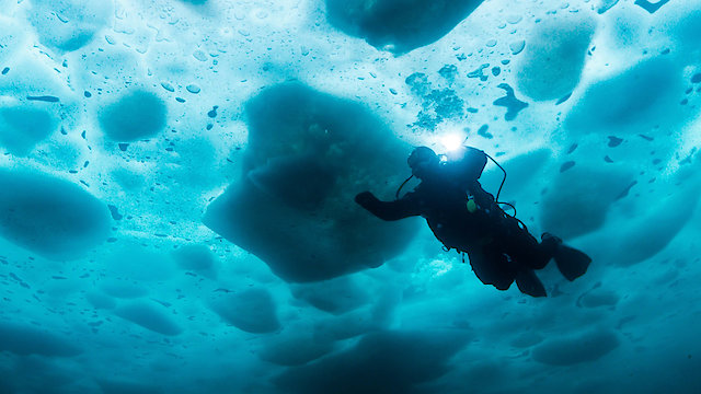 Watch Bering Sea Gold: Under the Ice Online