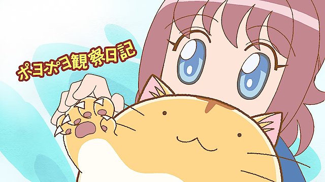 Watch Poyopoyo Online