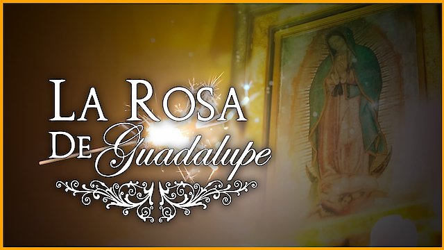 Watch La Rosa de Guadalupe Online