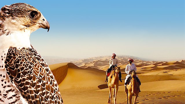 Watch Wild Arabia Online