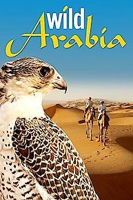 Wild Arabia