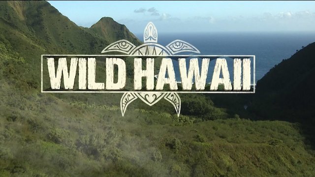Watch Wild Hawaii Online