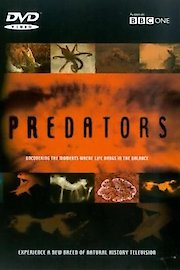 Predators poster